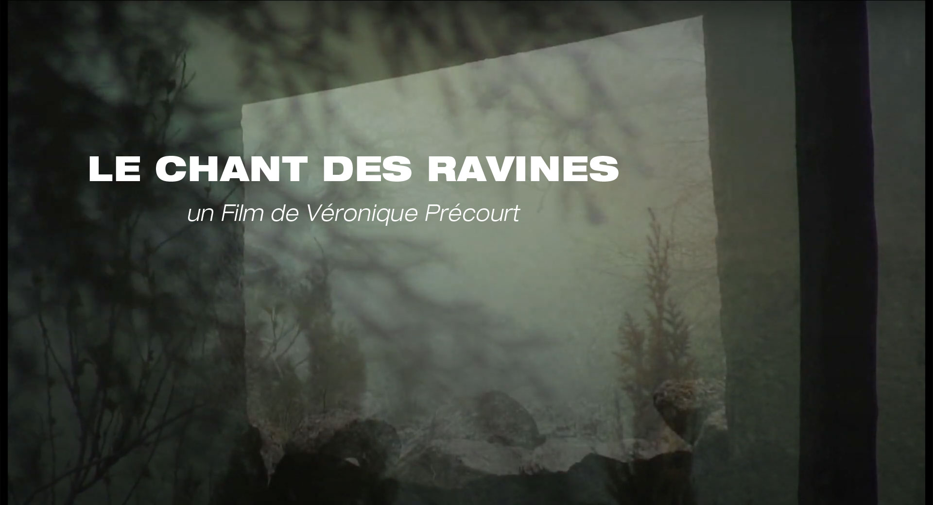 Le Chant des Ravines